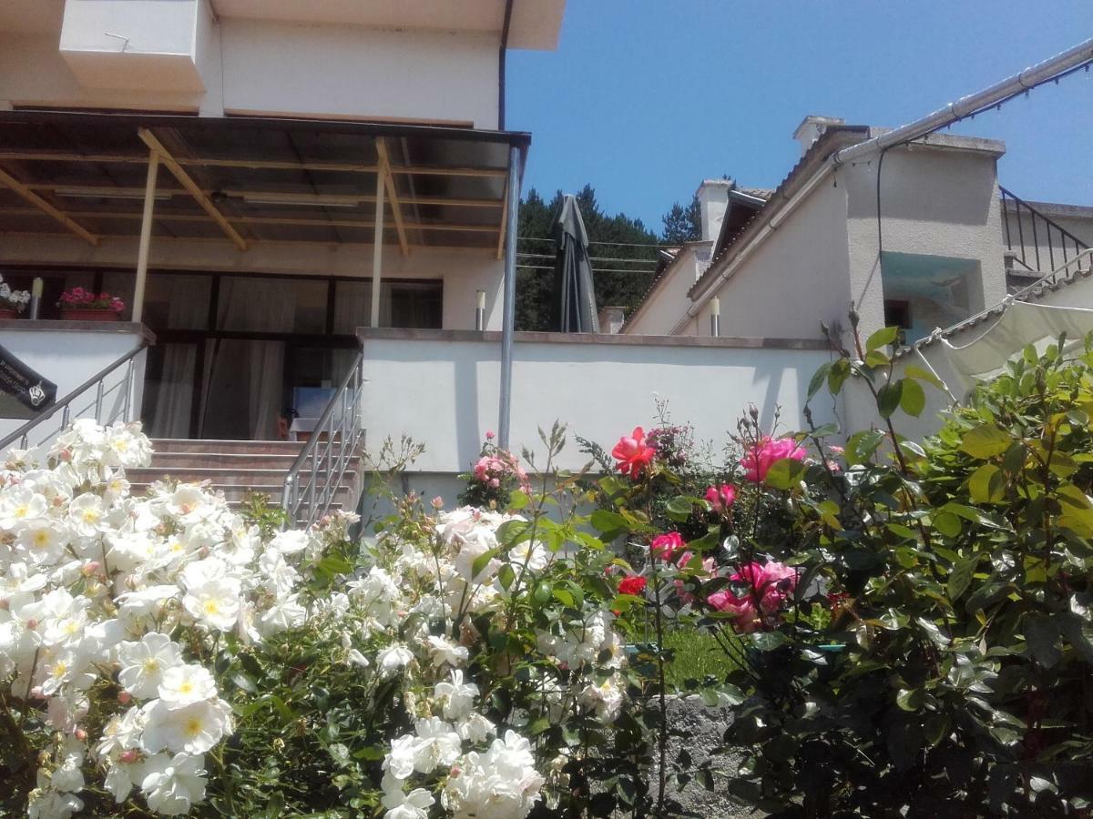 Hotel Aleksievata Kashta Gurgulyat Ngoại thất bức ảnh