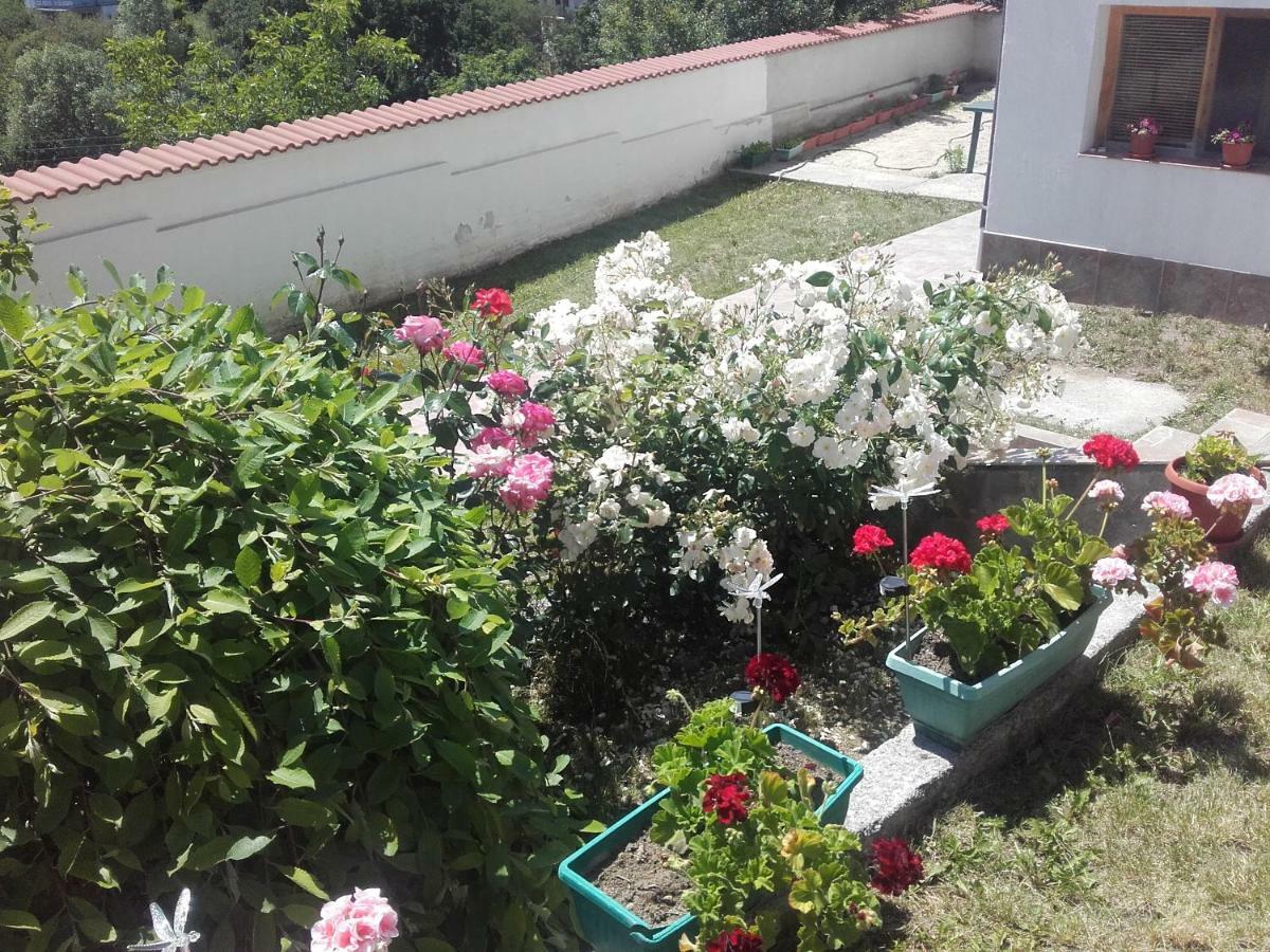 Hotel Aleksievata Kashta Gurgulyat Ngoại thất bức ảnh